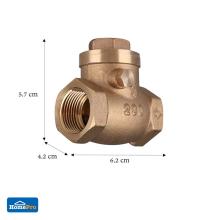 SWING CHECK VALVE DEXZON 3/4